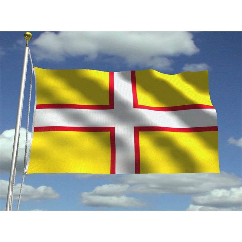 Dorset Flag 30 x 45cm-1